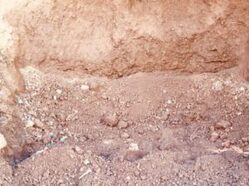 Soil, Screened Top
